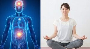 心身の不調に期待できる働きと仕組み